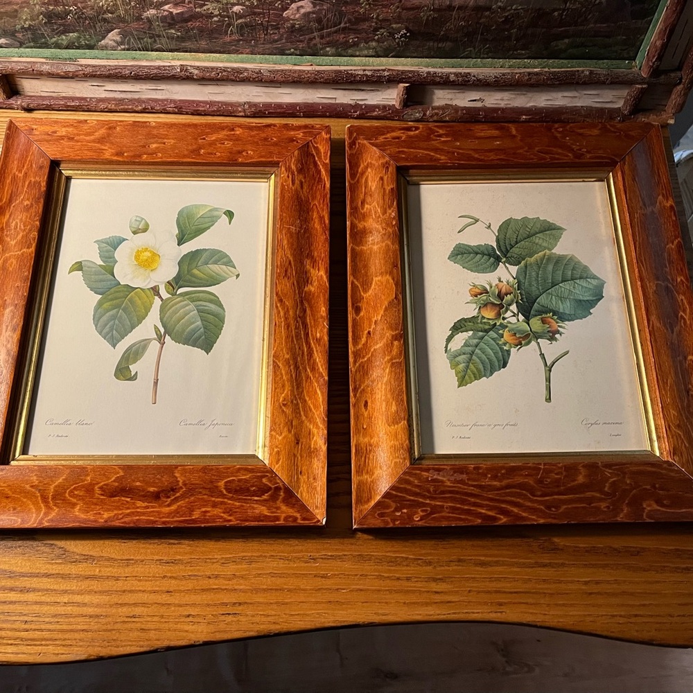 Pair Botanical Framed Prints in hardwood Birds Eye Maple frames